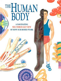 Image of The Human Body