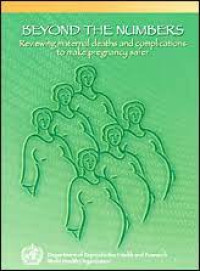 Image of BEYOND THE NUMBER: reviewing maternal deaths and complications to make pregnancy safer