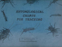 Image of Entomological Charts For Teaching